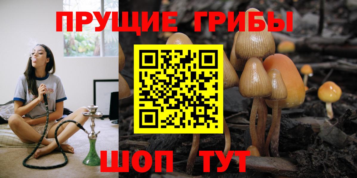 закладки  Вход с VPN  Дзержинск  Галлюциногенные грибы мицелий 